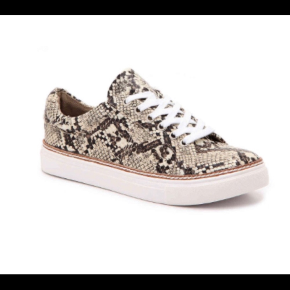 NWOB Steve Madden Santana Snake Print Sneaker SZ7